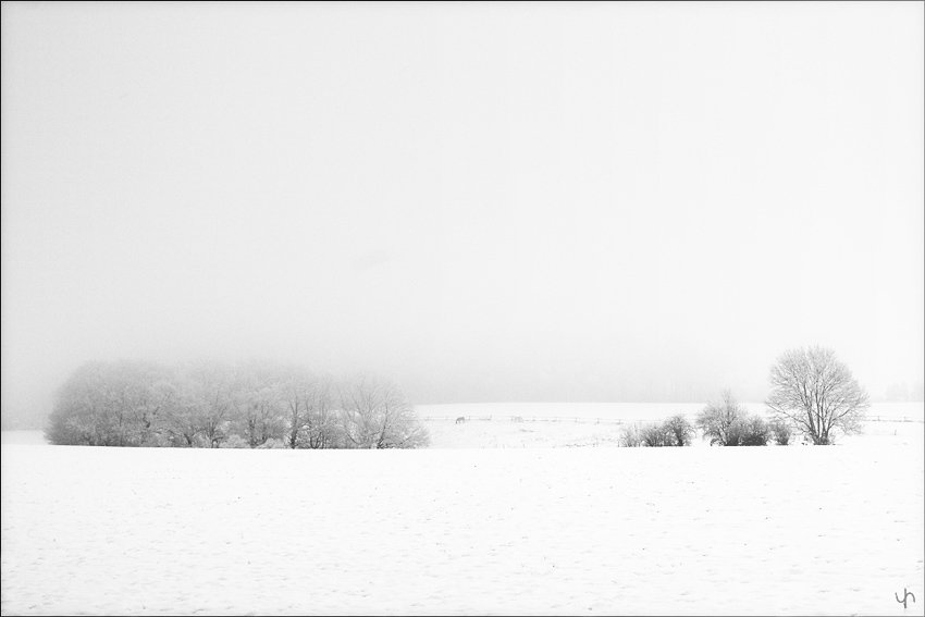Another Winter Landscape