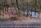 Bahn im Wald 2