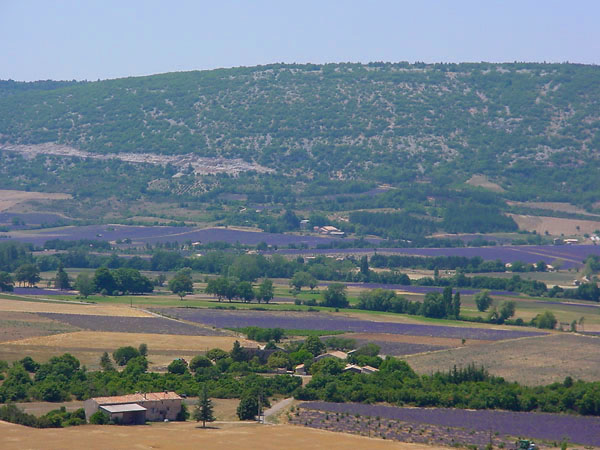 Provence