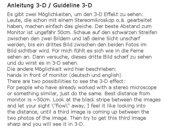 Anleitung 3-D / Guideline 3-D