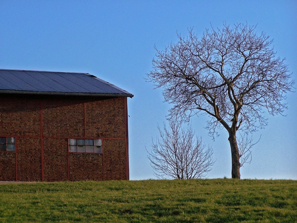 Barn