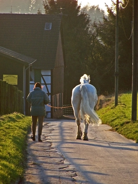 Sunday Walk