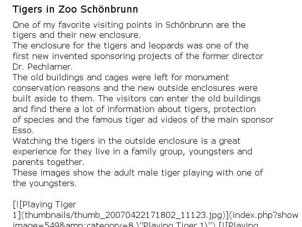 Tigers in Zoo Schönbrunn