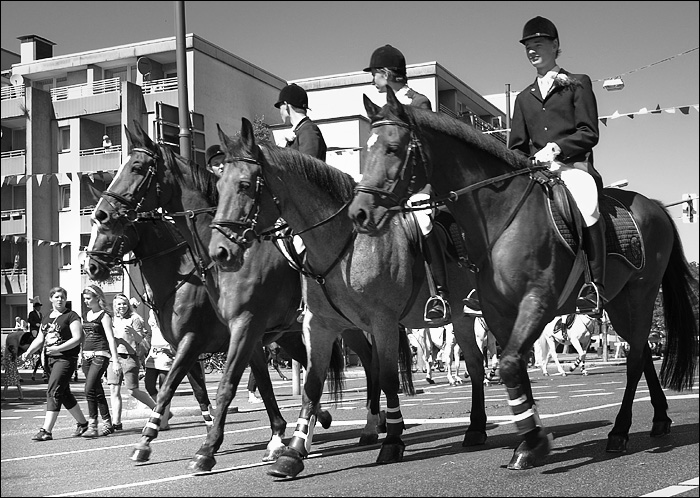 Girls 'n Horses