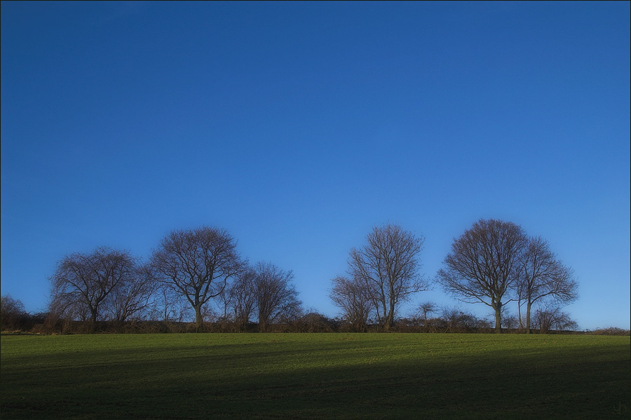 Evening Shadows