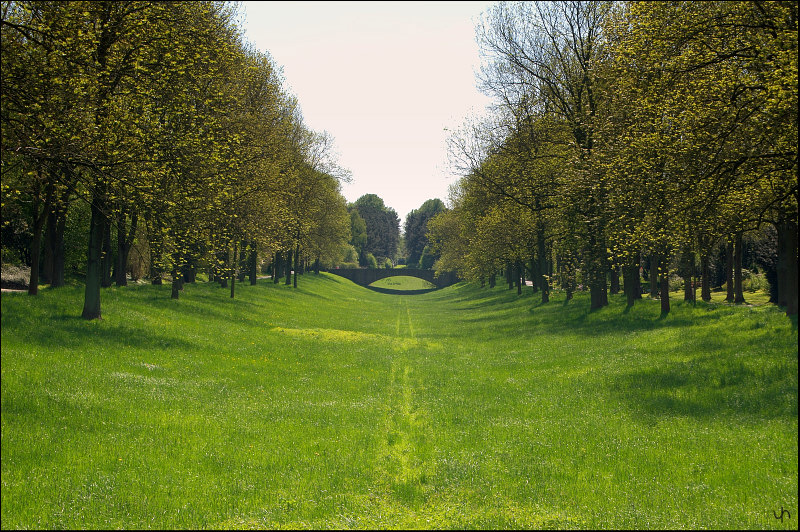 Green Alley