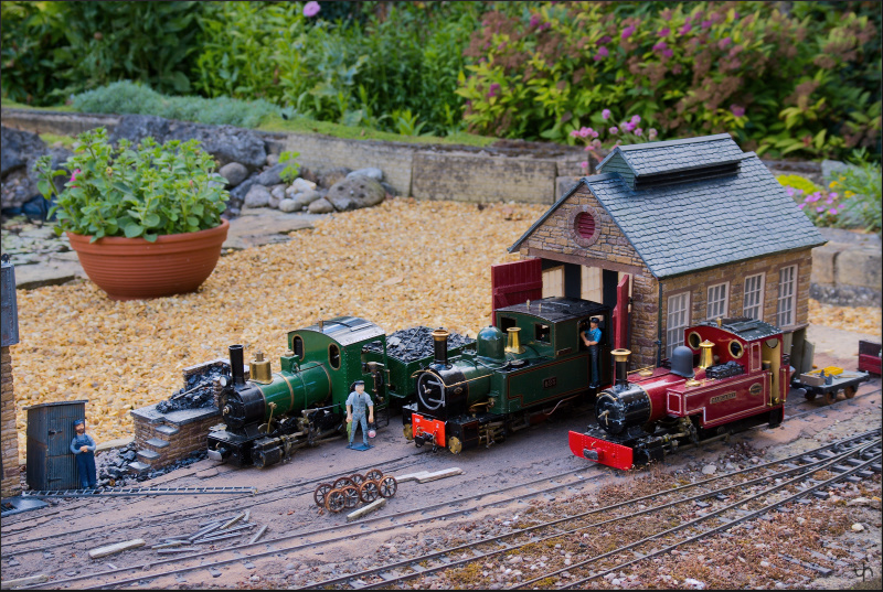 Model Steam Railway 1