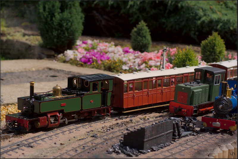 Model Steam Railway 3