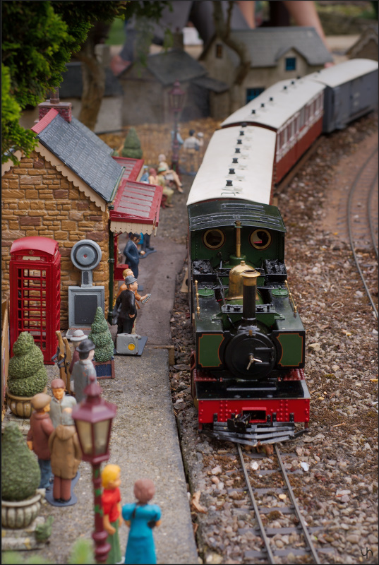 Model Steam Railway 4