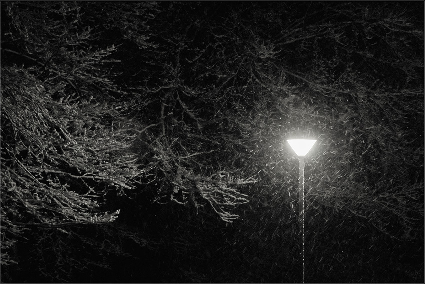 Snowfall at night