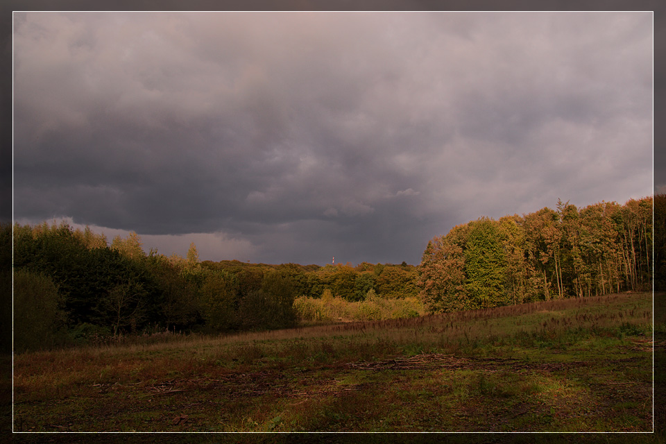 Autumn Light