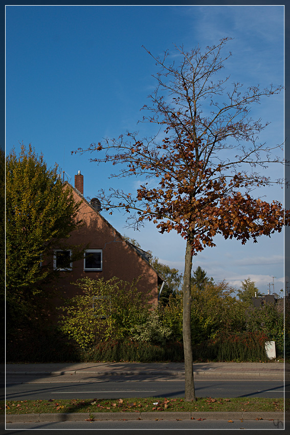 House At The Street