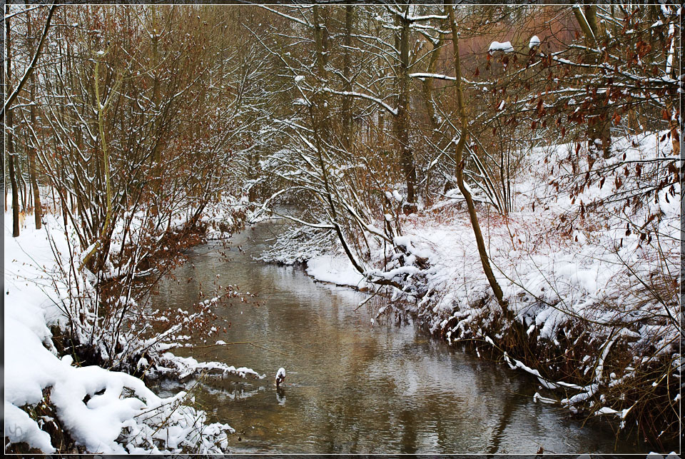 River and Snow