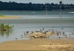 Rutland Water